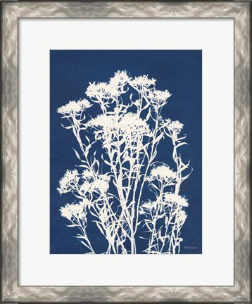 Framed Alpine Flower II Print
