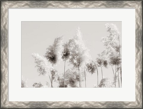Framed In the Wind III Print