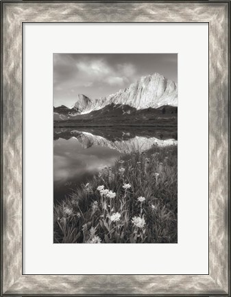 Framed Pronghorn and Dragon Head Peaks BW Print