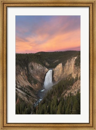 Framed Lower Falls of the Yellowstone River II Print