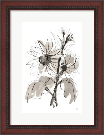 Framed Ink Sunflower I Print