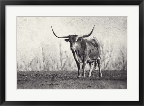 Framed Texas Longhorn Print