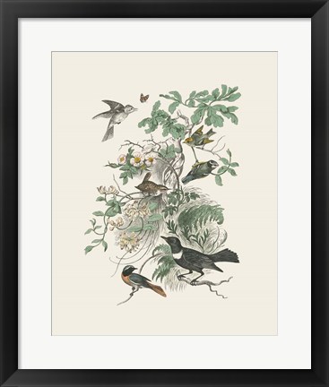 Framed Honeybloom Bird II Print