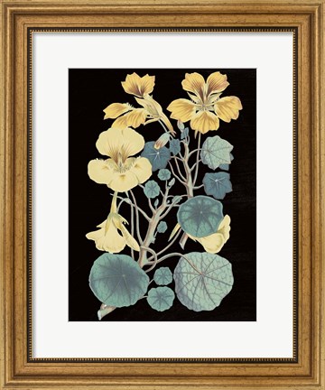 Framed Antique Botanical XVII Cool on Black Print