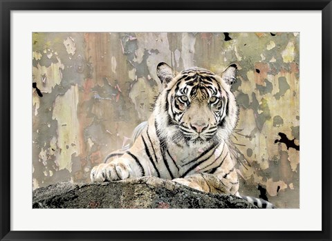 Framed Tiger Love Print