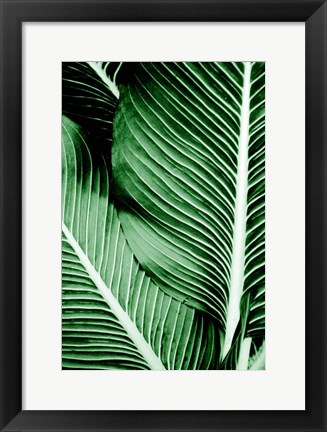 Framed Tropical 1 Print