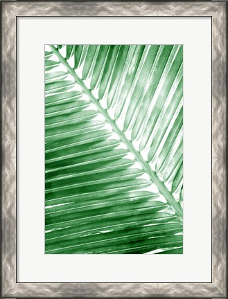 Framed Tropical 2 Print