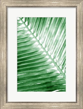 Framed Tropical 2 Print