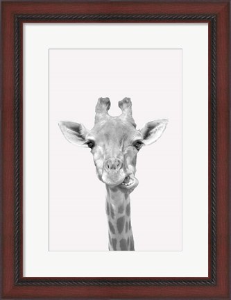 Framed Quirky Giraffes 2 Print