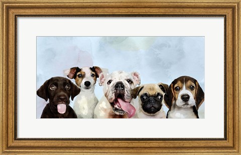 Framed Puppy Portrait Print