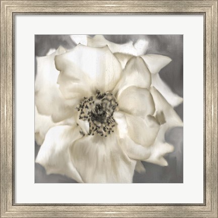 Framed Golden Rose Print