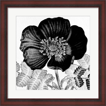 Framed Black and White Bloom 2 Print