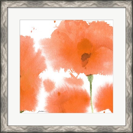 Framed Red Orange Poppies Print