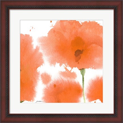 Framed Red Orange Poppies Print