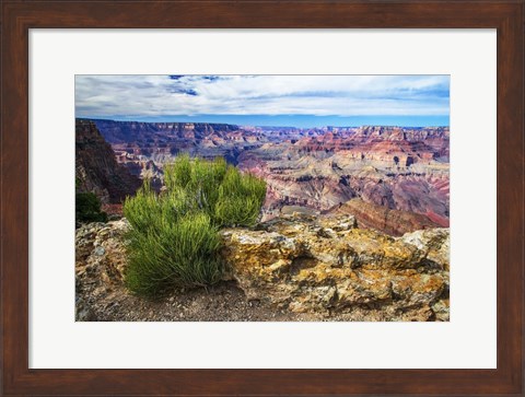 Framed Grand Canyon Medicine Print