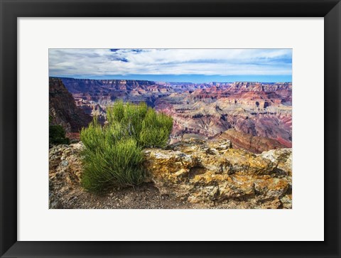 Framed Grand Canyon Medicine Print