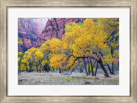 Framed Autumn at the Grotto Print