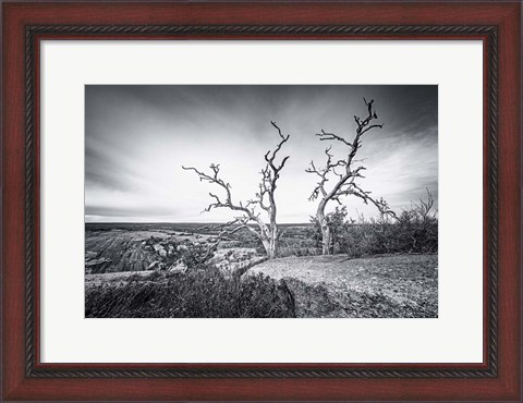 Framed Enchanted View Print