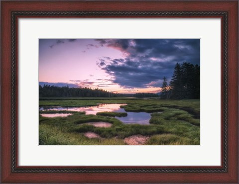 Framed Sunset at Bass Harbor Marsh Print