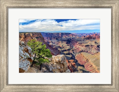Framed Standing on Navajo Point-Grand Canyon National Park Print