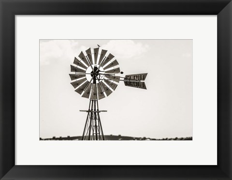 Framed Bird on a Windmill Print