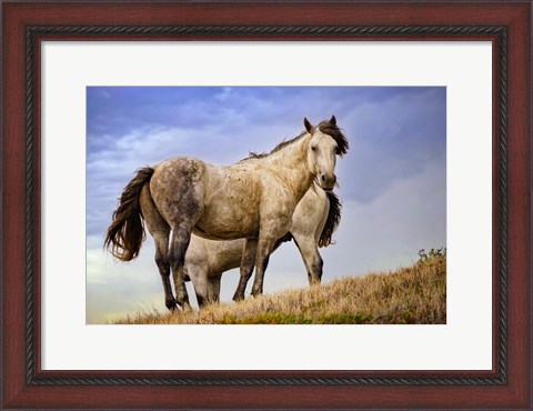 Framed Wild Horses Print
