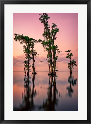 Framed Pink Twilight on Lake Maurepas Print