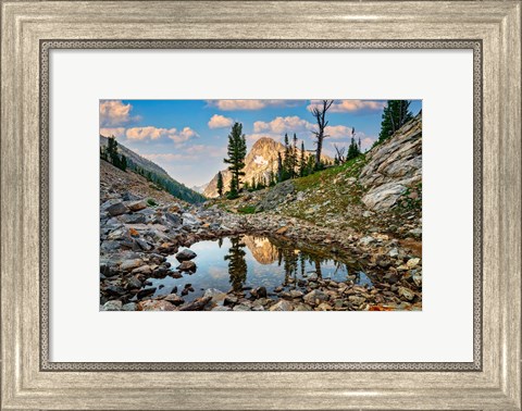 Framed Mount Regan Reflection Print