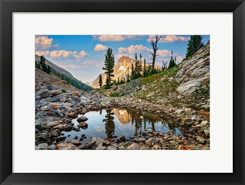 Framed Mount Regan Reflection Print