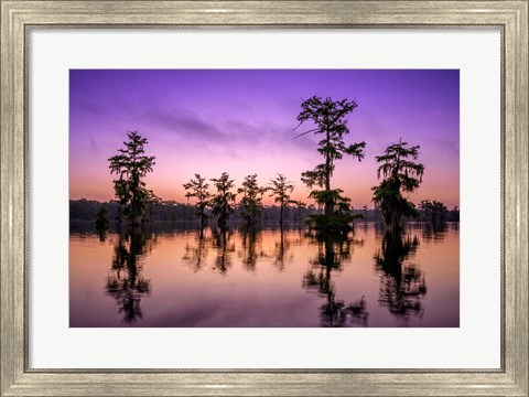 Framed Lake Martin Twilight Print