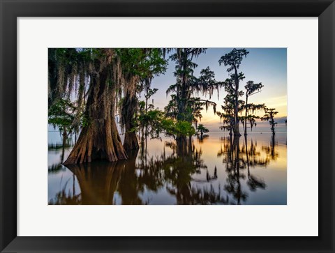 Framed Dawn in the Swamp Print