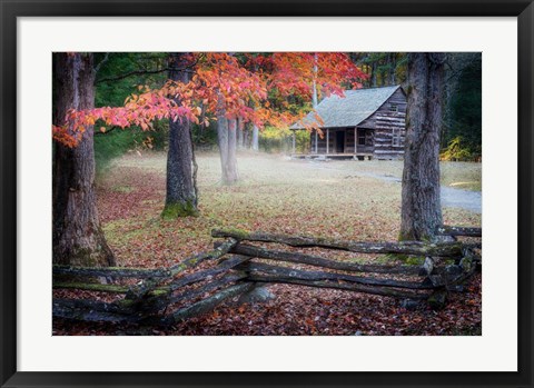 Framed Autumn at Carter Shields Cabin Print