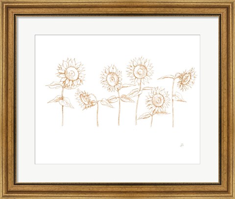 Framed Sunshine Seeds III Print