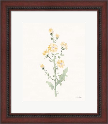 Framed Flowers of the Wild III Pastel Print