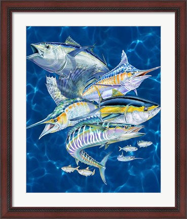 Framed Gamefish Print
