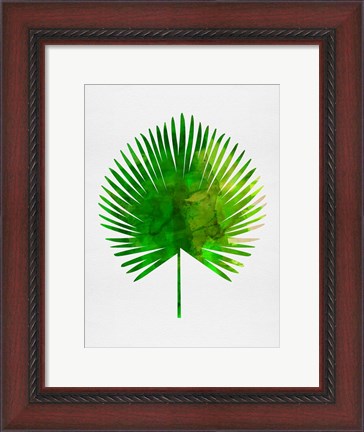 Framed Tropical Chamaerops Leaf Print