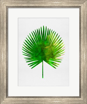 Framed Tropical Chamaerops Leaf Print
