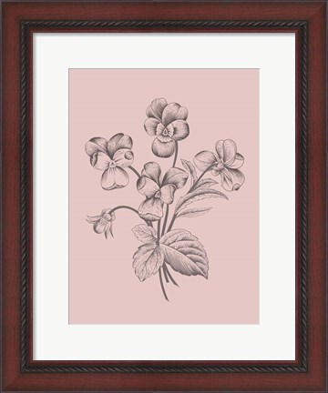 Framed Violet Blush Pink Flower Print