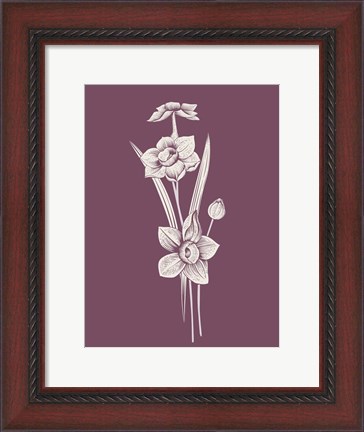 Framed Narcissus Purple Flower Print