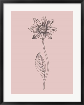 Framed Dahlia Blush Pink Flower Print