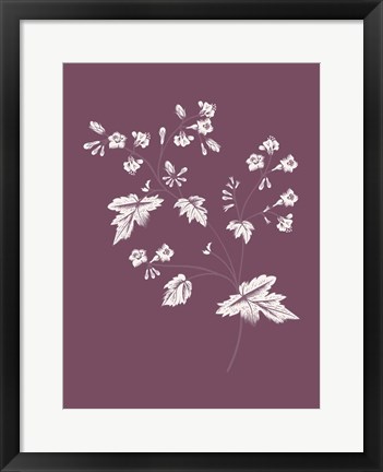 Framed Phacelia Purple Flower Print