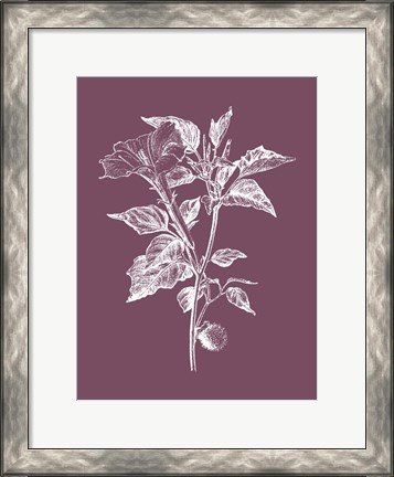 Framed Datura Purple Flower Print