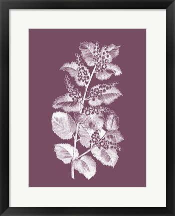 Framed Cerasus Purple Flower Print