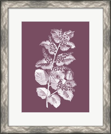 Framed Cerasus Purple Flower Print