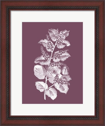 Framed Cerasus Purple Flower Print