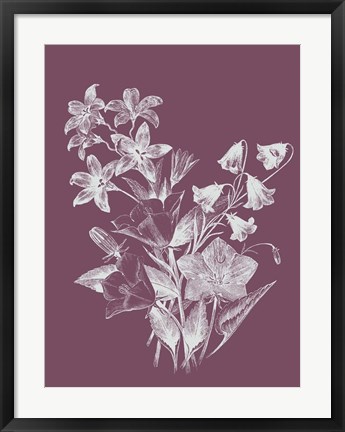 Framed Campanulas Purple Flower Print