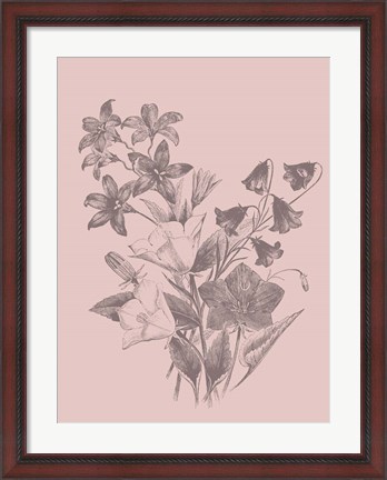 Framed Campanulas Blush Pink Flower Print