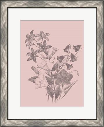 Framed Campanulas Blush Pink Flower Print