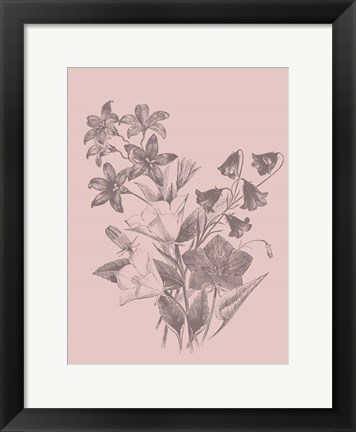 Framed Campanulas Blush Pink Flower Print