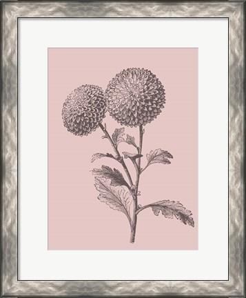 Framed Quilled Pompone Blush Pink Flower Print
